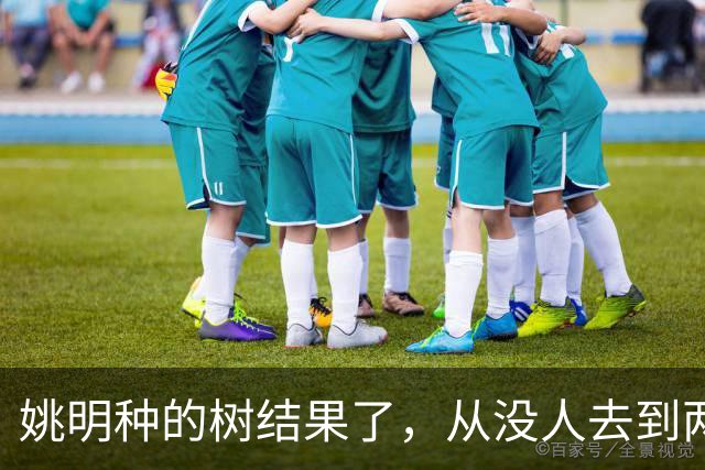 姚明种的树结果了，从没人去到两位数留洋，年轻人治好男篮老毛病
